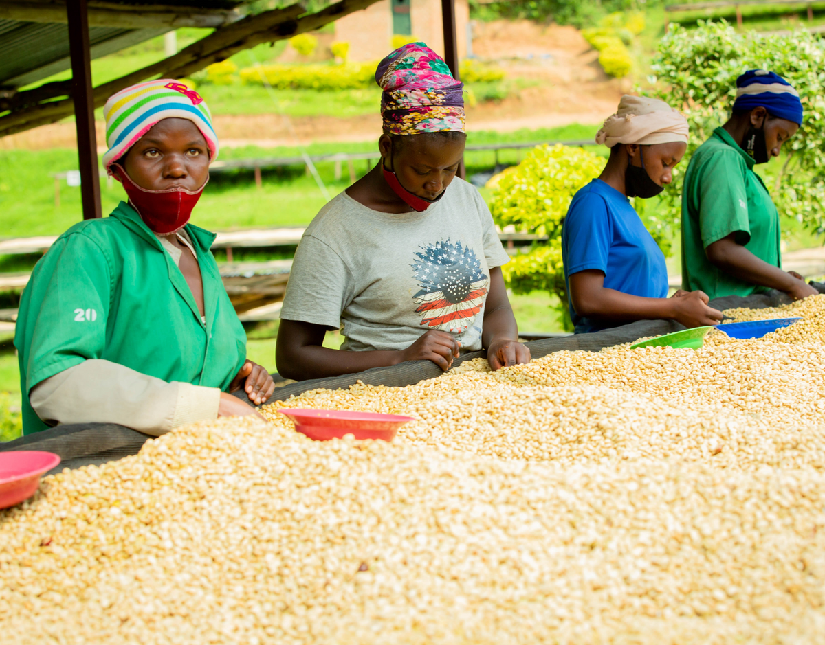 Rwanda - Province de l'Ouest